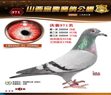 ɽ����i�Qِ371��