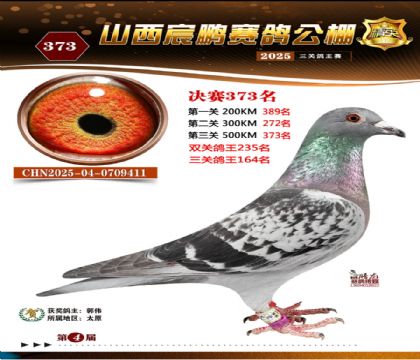 ɽ����i�Qِ373��