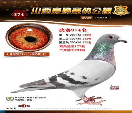 ɽ����i�Qِ374��