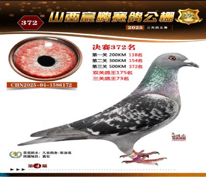 ɽ����i�Qِ372��