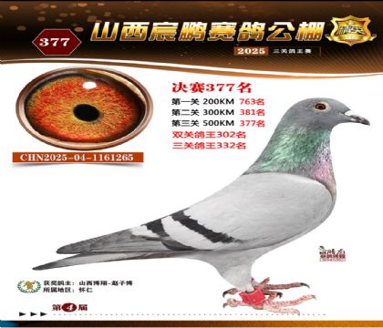 ɽ����i�Qِ377��