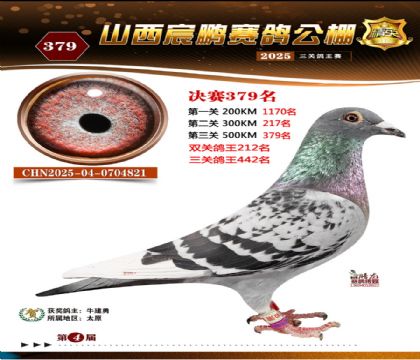 ɽ����i�Qِ379��