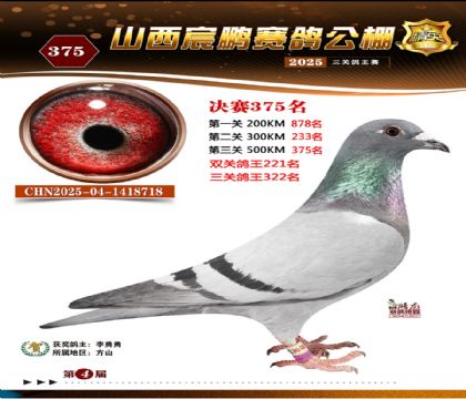 ɽ����i�Qِ375��