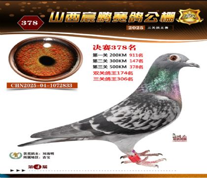 ɽ����i�Qِ378��