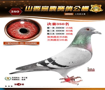 ɽ����i�Qِ380��