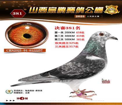 ɽ����i�Qِ381��