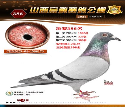 ɽ����i�Qِ386��