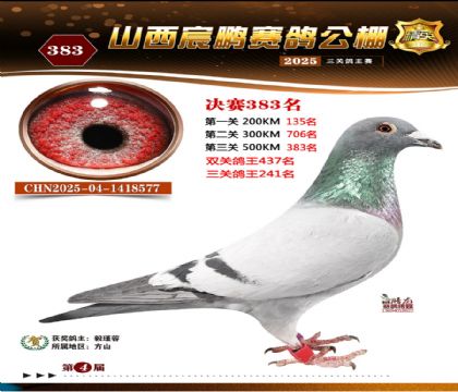 ɽ����i�Qِ383��