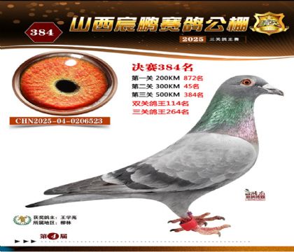 ɽ����i�Qِ384��