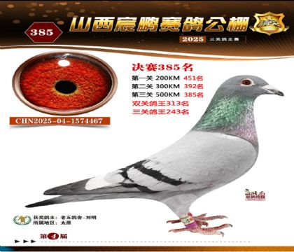 ɽ����i�Qِ385��