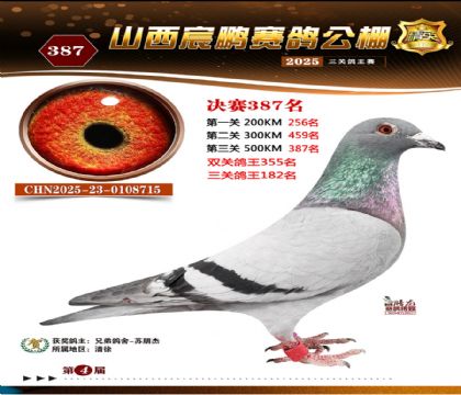 ɽ����i�Qِ387��