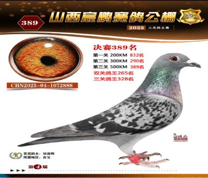 ɽ����i�Qِ389��