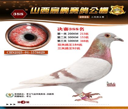 ɽ����i�Qِ388��