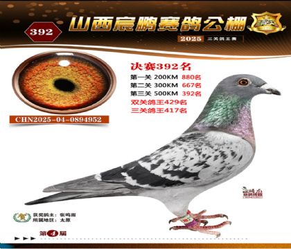 ɽ����i�Qِ392��