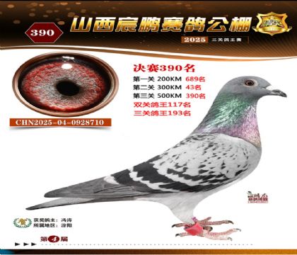 ɽ����i�Qِ390��