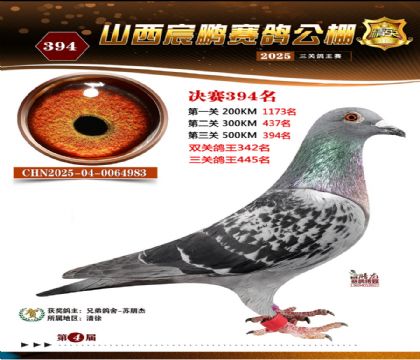 ɽ����i�Qِ394��