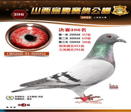 ɽ����i�Qِ396��