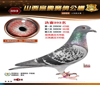 ɽ����i�Qِ393��