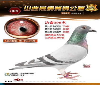 ɽ����i�Qِ398��