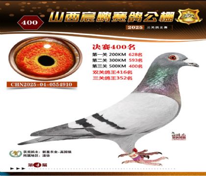 ɽ����i�Qِ400��