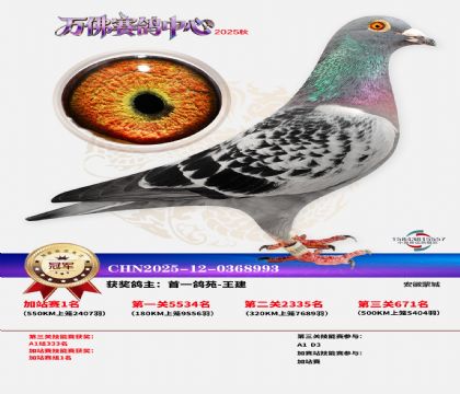 �����f���վِ��܊