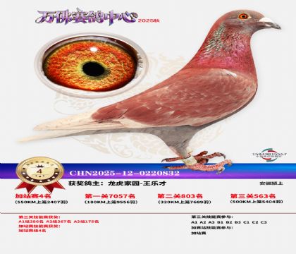 �����f���վِ4��