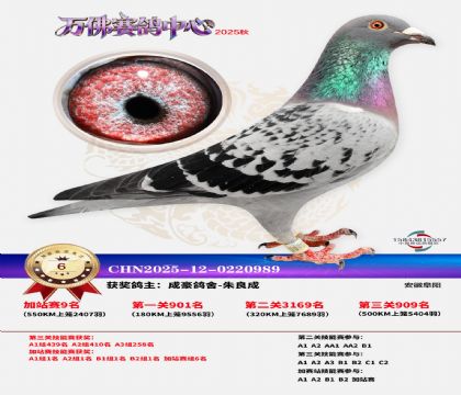 �����f���վِ6��