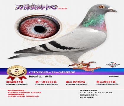 �����f���վِ10��