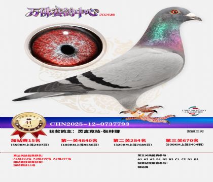 �����f���վِ11��