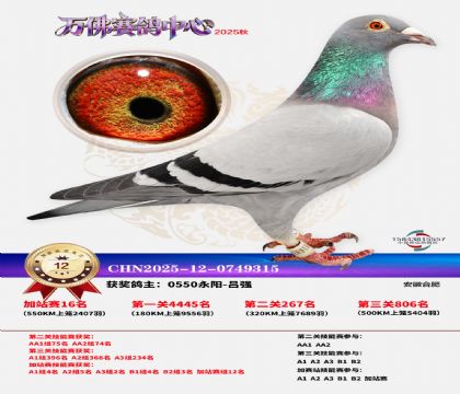 �����f���վِ12��