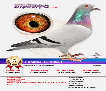 �����f���վِ15��