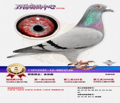 �����f���վِ16��