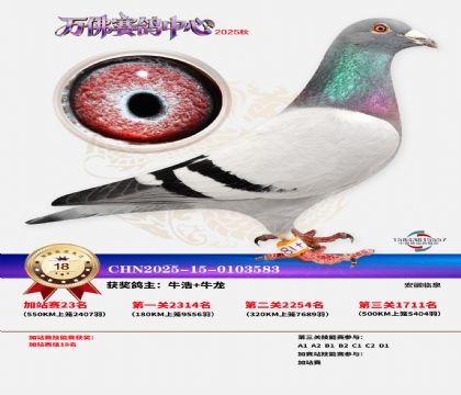 �����f���վِ18��