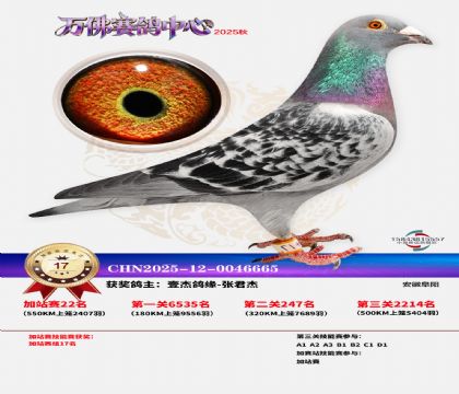 �����f���վِ17��