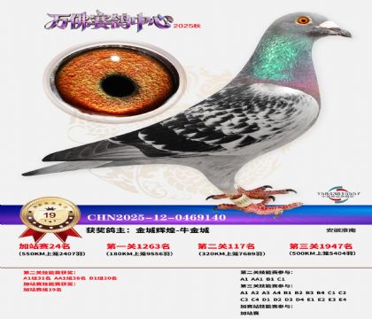 �����f���վِ19��