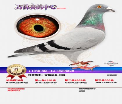 �����f���վِ21��