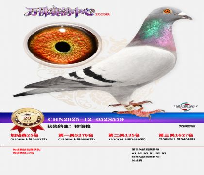 �����f���վِ20��