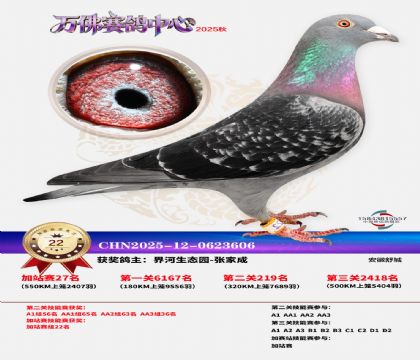 �����f���վِ22��