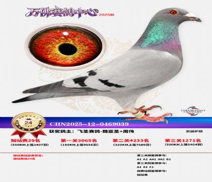 �����f���վِ24��