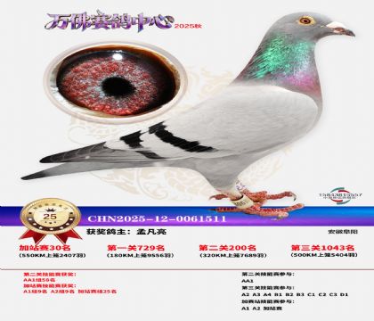 �����f���վِ25��