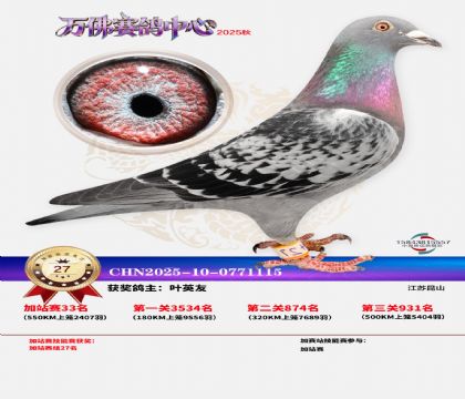 �����f���վِ27��