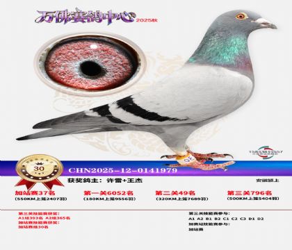 �����f���վِ30��