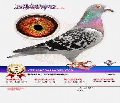 �����f���վِ29��