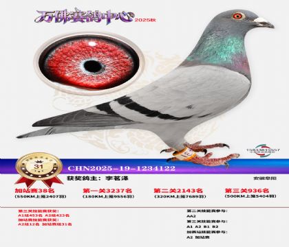 �����f���վِ31��