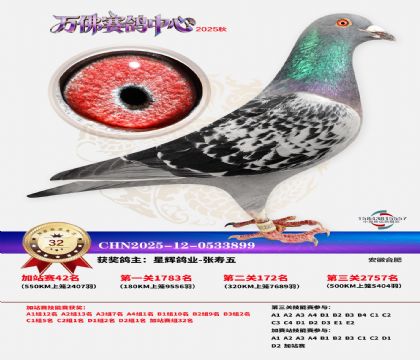 �����f���վِ32��