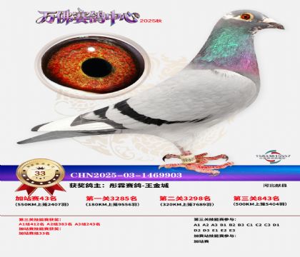 �����f���վِ33��