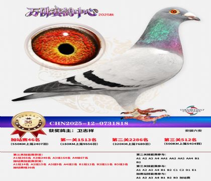 �����f���վِ36��