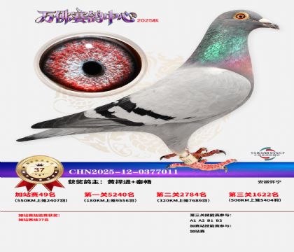 �����f���վِ37��