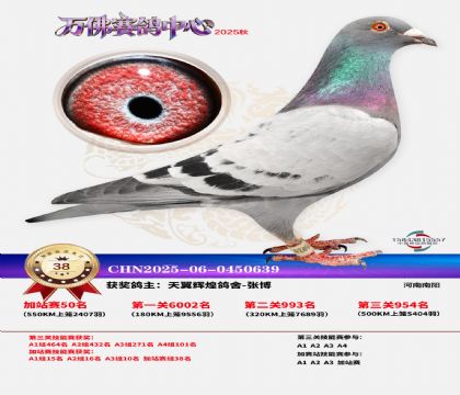 �����f���վِ38��