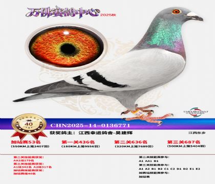 �����f���վِ40��